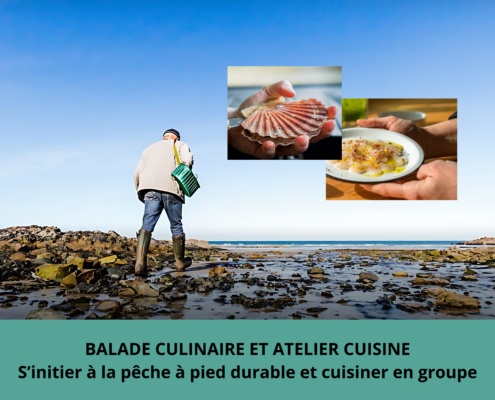 Balade culinaire et cuisine bretonne, un bol d'air iodé et durable assuré par Glad events