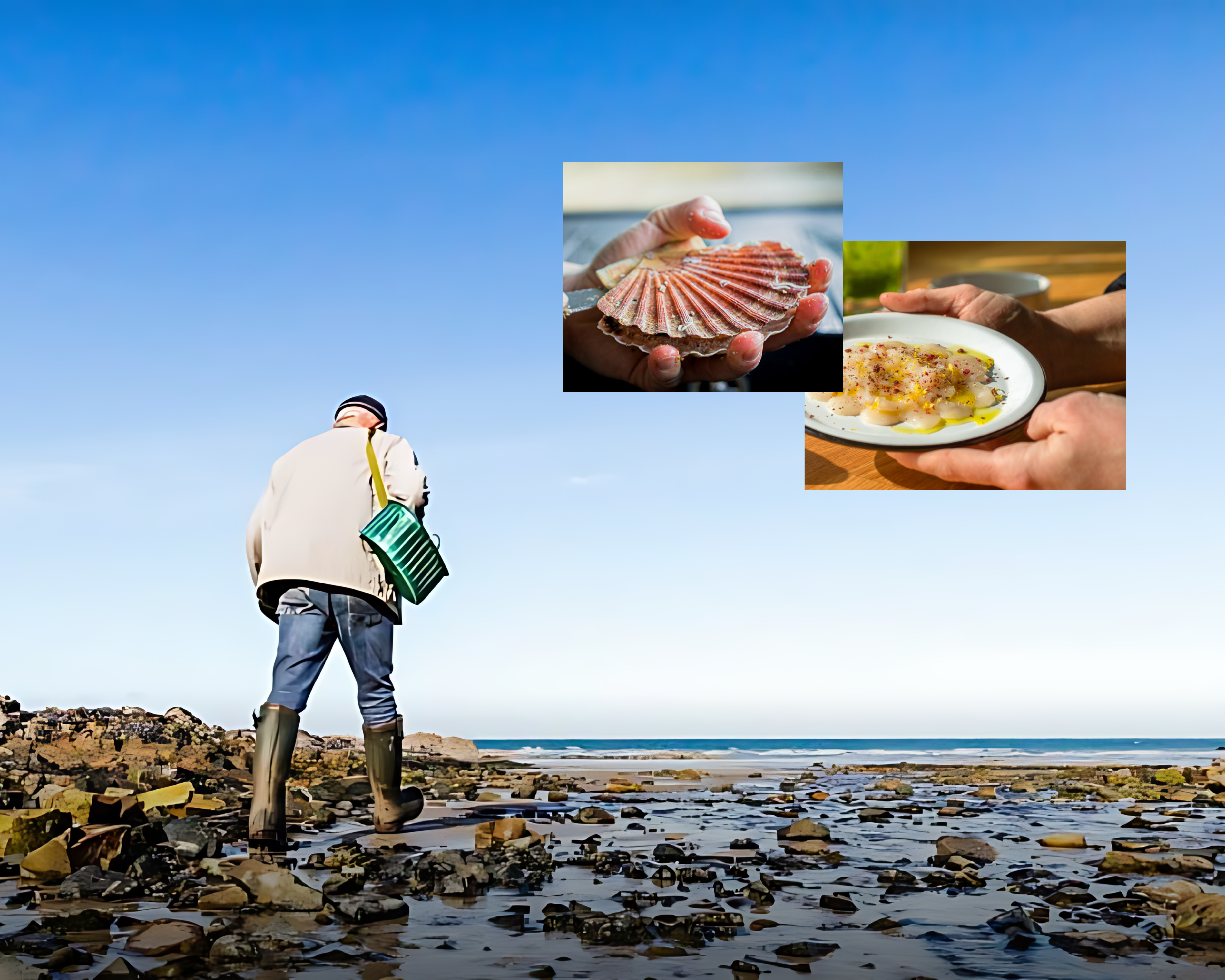 balade culinaire et atelier cuisine de la mer par glad events en Côtes d'Armor
